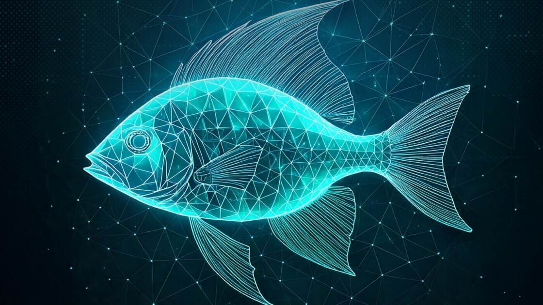 Operation FishMedley targeting governments, NGOs, and think tanks