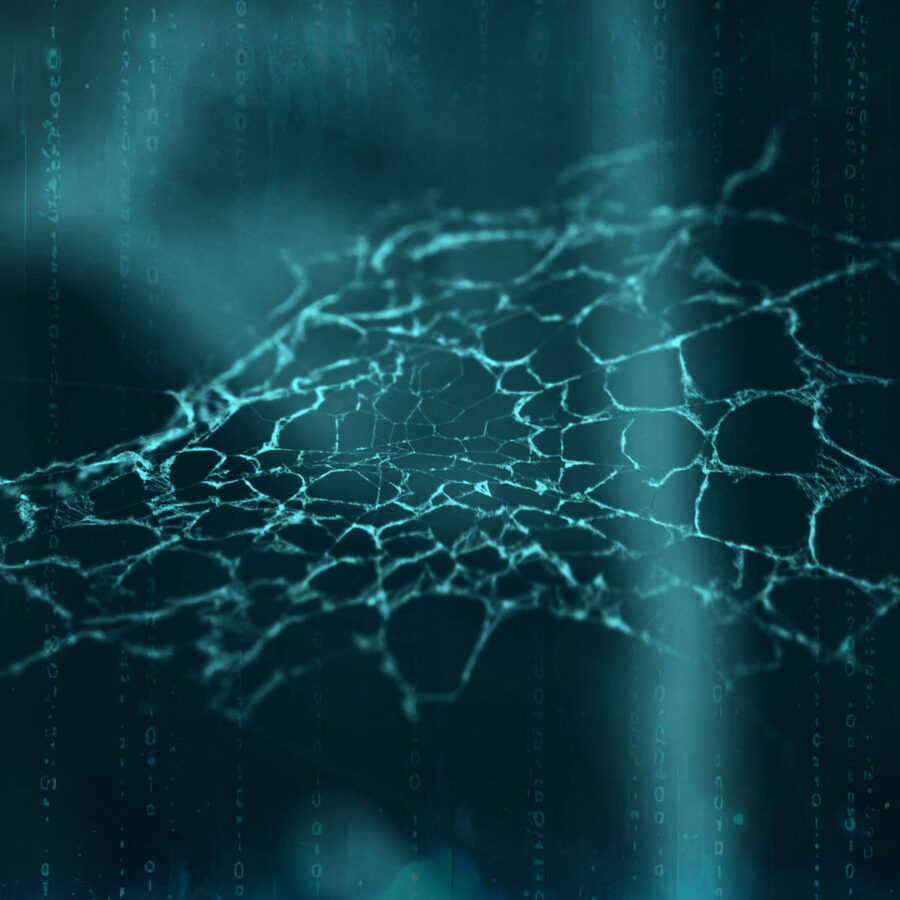 Your information is on the dark web. What happens next?